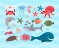 Vector cute sea animals. Dolphin and whale