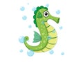 Vector cute seahorse isolated on white background. Sea animal vector illustration