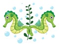 Vector cute seahorse isolated on white background. Sea animal vector illustration Royalty Free Stock Photo