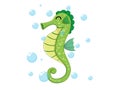 Vector cute seahorse isolated on white background. Sea animal vector illustration