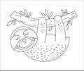 Vector cute sloth hanging on a tree brunch outline. Funny tropical exotic animal black and white illustration. Fun coloring page Royalty Free Stock Photo