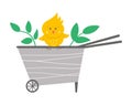 Vector cute wheel barrow with yellow chick icon isolated on white background. Flat spring garden tool illustration. Funny Royalty Free Stock Photo