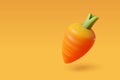 Vector 3d of Carrot, Fresh vegetable concept