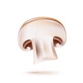 Vector 3d champignon mushroom slice realistic icon