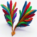 vector 3d colorful feathers for carnival