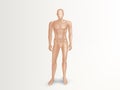 Vector 3d male mannequin, nude plastic dummy Royalty Free Stock Photo