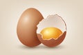 Vector 3d Realistic Brown Chicken Eggs. Textured Broken Chicken Egg, Two Parts, Opened Crack Raw Chicken Egg With Yolk