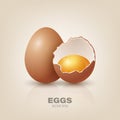 Vector 3d Realistic Brown Chicken Eggs. Textured Broken Chicken Egg, Two Parts, Opened Crack Raw Chicken Egg With Yolk