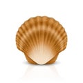 Vector 3d Realistic Brown Closed Scallop Pearl Seashell Icon Closeup Isolated on White Background. Design Template Royalty Free Stock Photo