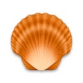 Vector 3d Realistic Brown Closed Scallop Pearl Seashell Icon Closeup Isolated on White Background. Design Template. Top Royalty Free Stock Photo