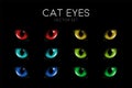 Vector 3d Realistic Cat s Eye of a Black Cat. Red, Yellow, Blue, Green Cat Eyes on Black Set. Cat Look in the Dark Royalty Free Stock Photo