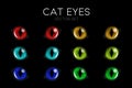 Vector 3d Realistic Cat s Eye of a Black Cat. Red, Yellow, Blue, Green Cat Eyes on Black Set. Cat Look in the Dark Royalty Free Stock Photo