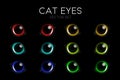 Vector 3d Realistic Cat s Eye of a Black Cat. Red, Yellow, Blue, Green Cat Eyes on Black Set. Cat Look in the Dark Royalty Free Stock Photo