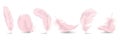 Vector 3d Realistic Different Falling Pink Fluffy Twirled Feather Set Closeup Isolated on White Background. Design