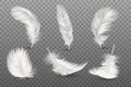 Vector 3d Realistic Different Falling White Fluffy Twirled Feather Set Closeup Isolated on Transparency Grid Background