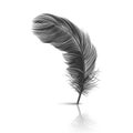 Vector 3d Realistic Falling Black Fluffy Twirled Feather with Reflection Closeup Isolated on White Background. Design