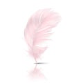 Vector 3d Realistic Falling Pink Flamingo Fluffy Twirled Feather with Reflection Closeup Isolated on White Background