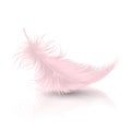 Vector 3d Realistic Falling Pink Flamingo Fluffy Twirled Feather with Reflection Closeup Isolated on White Background