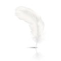Vector 3d Realistic Falling White Fluffy Twirled Feather with Reflection Closeup Isolated on White Background. Design