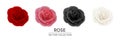 Vector 3d Realistic Flower Rose Icon Set Closeup Isolated on White. Red, Pink, Black, White Rose Buds. Decorative Roses Royalty Free Stock Photo