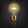 Vector 3d Realistic Golden Turning On Light Bulb Icon Closeup Isolated on White Background with Reflection. Glowing