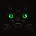 Vector 3d Realistic Green Cats Eye of a Black Cat in the Dark, at Night. Cat Face with Yes, Nose, Whiskers on Black. Cat Royalty Free Stock Photo