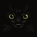 Vector 3d Realistic Green Cats Eye of a Black Cat in the Dark, at Night. Cat Face with Yes, Nose, Whiskers on Black. Cat Royalty Free Stock Photo