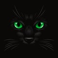 Vector 3d Realistic Green Cats Eye of a Black Cat in the Dark, at Night. Cat Face with Yes, Nose, Whiskers on Black. Cat Royalty Free Stock Photo