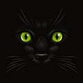 Vector 3d Realistic Green Cats Eye of a Black Cat in the Dark, at Night. Cat Face with Yes, Nose, Whiskers on Black. Cat Royalty Free Stock Photo