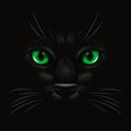 Vector 3d Realistic Green Cats Eye of a Black Cat in the Dark, at Night. Cat Face with Yes, Nose, Whiskers on Black. Cat Royalty Free Stock Photo