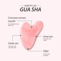 Vector 3d Realistic Gua Sha Jade Scraping Massage Tool. Benefits, Parts, Instruction, Infographics. Natural Pink Rose