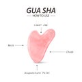 Vector 3d Realistic Gua Sha Jade Scraping Massage Tool. Benefits, Parts, Instruction, Infographics. Natural Pink Rose