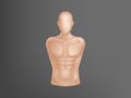 Vector 3d realistic human body, man torso Royalty Free Stock Photo