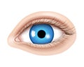 Vector 3d realistic human eye without makeup. Glossy blue iris with a macro details. Facial element on a skin background. Useful