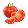 Vector 3d realistic juicy tomato closeup isolated on white background. Whole, slice and quarter of a tomato. Design