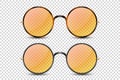 Vector 3d Realistic Leopard, Black Round Frame Glasses Set with Orange Transparent Glass Isolated, Eyeglasses for Women