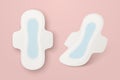 Vector 3d Realistic Menstrual Hygiene Products - Sanitary Pad Icon Set Closeup Isolated. Feminine Hygiene Icons -