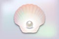 Vector 3d Realistic Natural Open Half Shell with Pearl Close up on Pearl Color Background. Top View Royalty Free Stock Photo