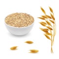 Vector 3d realistic oat ears, grains, bowl