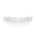 Vector 3d Realistic Render White Denture Set Closeup Isolated. Dentistry and Orthodontics Design. Human Teeth for Royalty Free Stock Photo