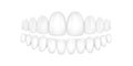Vector 3d Realistic Render White Denture Set Closeup Isolated. Dentistry and Orthodontics Design. Human Teeth for Royalty Free Stock Photo