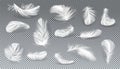 Vector 3d realistic set of white feathers Royalty Free Stock Photo