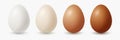 Vector 3d Realistic White, Brown Chicken Eggs. Textured Chicken Egg Icon Set Closeup Isolated. Vector Different Color Royalty Free Stock Photo