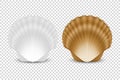 Vector 3d Realistic White and Brown Closed Scallop Pearl Seashell Icon Set Closeup Isolated on Transparent Background Royalty Free Stock Photo