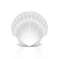 Vector 3d Realistic White Closed Scallop Pearl Seashell Icon Closeup Isolated on White Background. Design Template Royalty Free Stock Photo