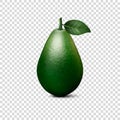 Vector 3d Realistic Whole Avocado with Leaf Closeup Isolated on Transparent Background. Design Template, Food, Health