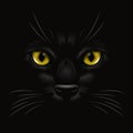 Vector 3d Realistic Yellow, Brown, Orange Cats Eye of a Black Cat in the Dark, at Night. Cat Face with Yes, Nose Royalty Free Stock Photo