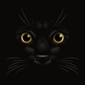 Vector 3d Realistic Yellow Cats Eye of a Black Cat in the Dark, at Night. Cat Face with Yes, Nose, Whiskers on Black Royalty Free Stock Photo