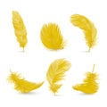 Vector 3d Realistic Yellow Fluffy Feather Set Isolated on White Background. Design Template of Flamingo, Angel, Bird Royalty Free Stock Photo