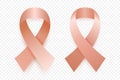 Vector 3d Realistic Peach Ribbon Set. Uterine Cancer Awareness Symbol Closeup. Cancer Ribbon Template. World Uterine